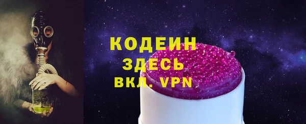 дмт Кодинск