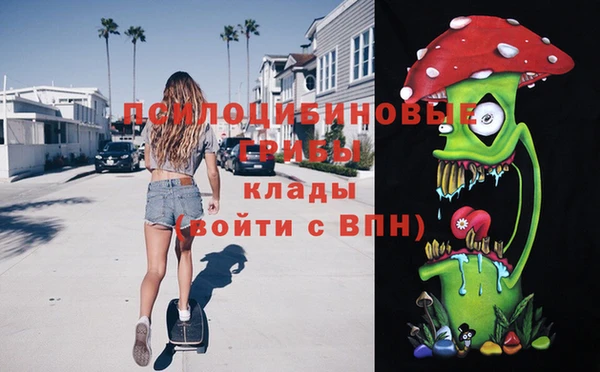 амф Костерёво