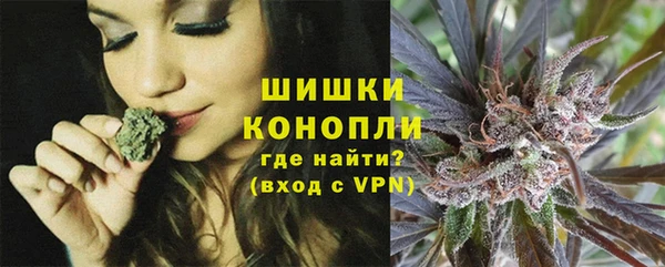 дмт Кодинск