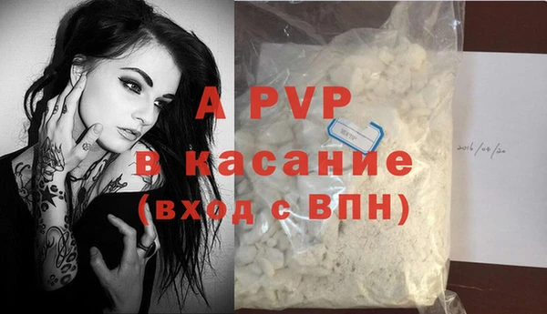 амф Коряжма