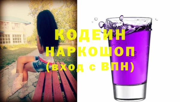 дмт Кодинск