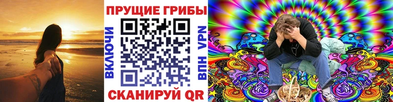 Псилоцибиновые грибы GOLDEN TEACHER  Коммунар 
