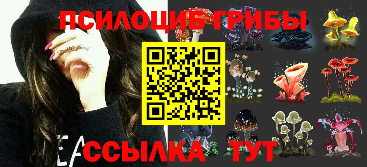 Псилоцибиновые грибы Magic Shrooms Коммунар